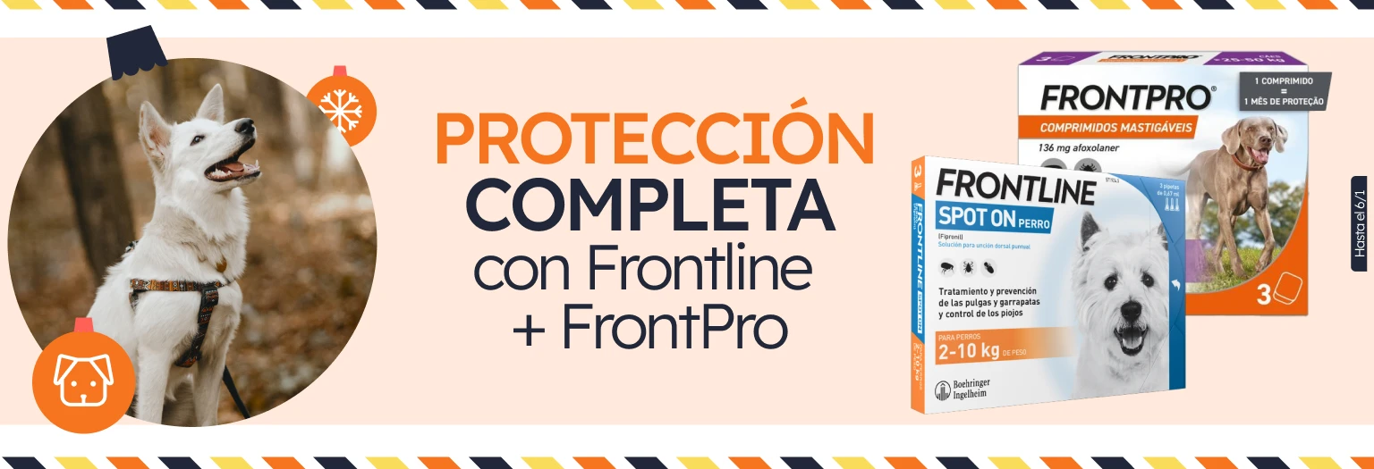 /c/diciembre-frontline-frontpro