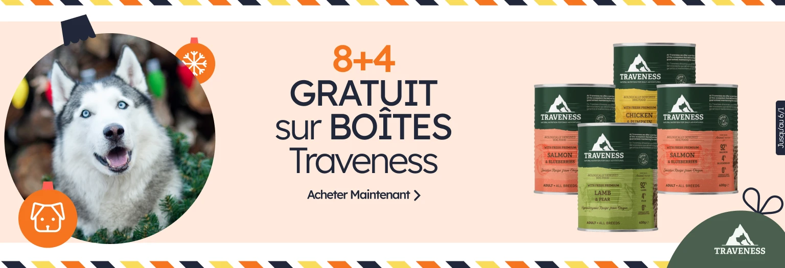 /c/diciembre-traveness-8-4