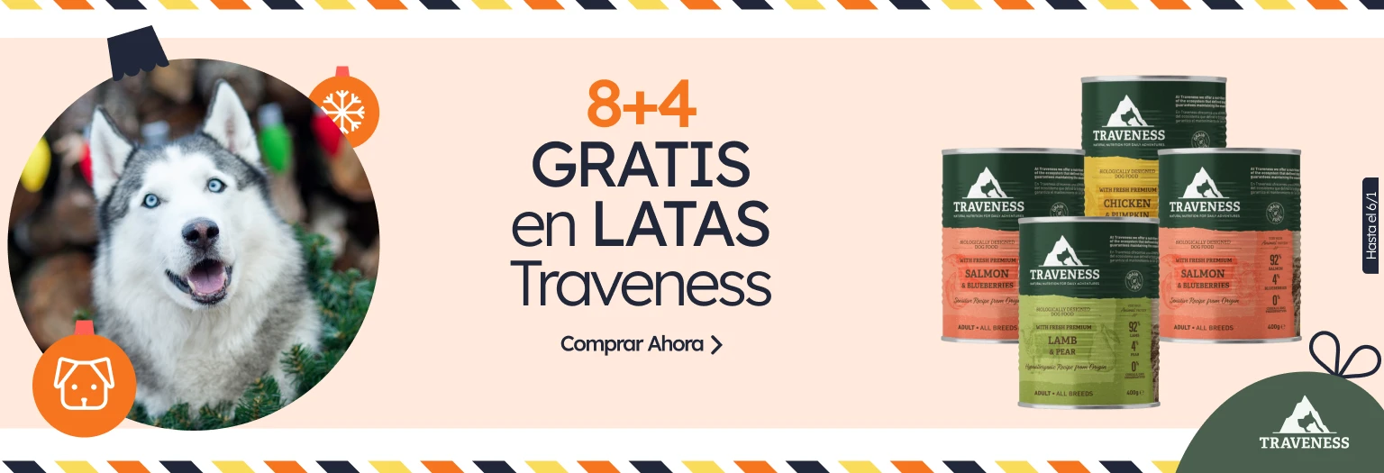 /c/diciembre-traveness-8-4