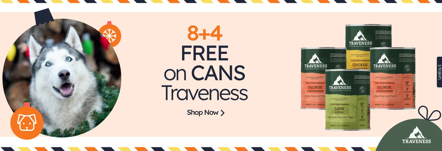 /c/diciembre-traveness-8-4