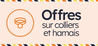 /c/diciembre-collares-arneses