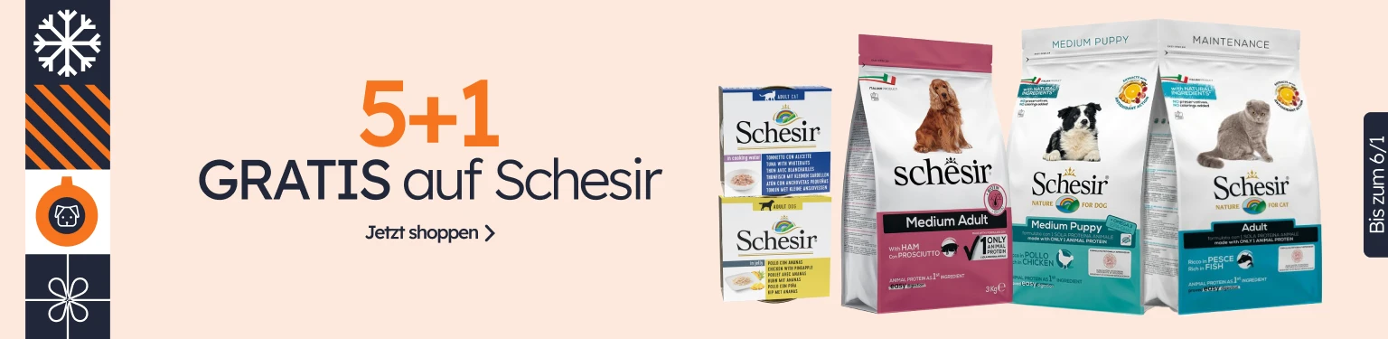 /c/diciembre-schesir-5-1