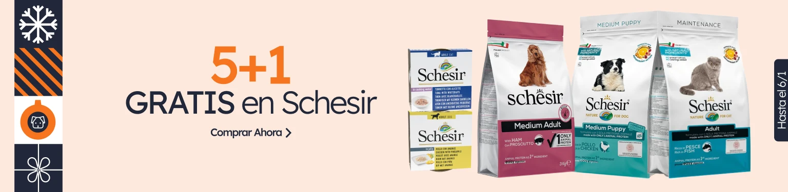 /c/diciembre-schesir-5-1