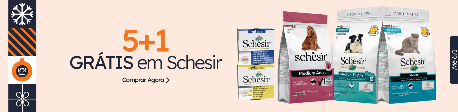 /c/diciembre-schesir-5-1