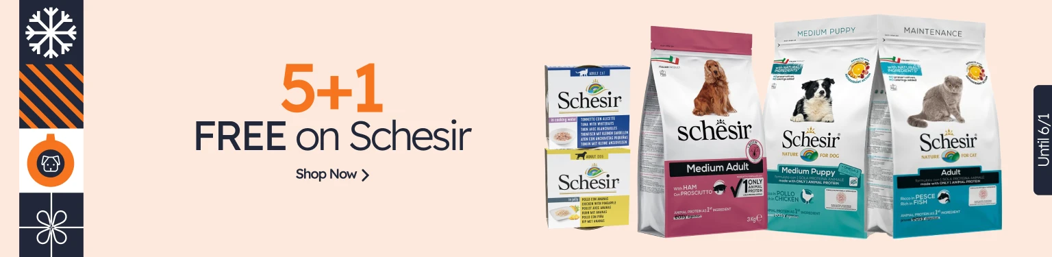 /c/diciembre-schesir-5-1