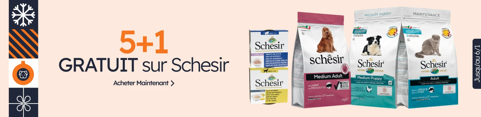 /c/diciembre-schesir-5-1