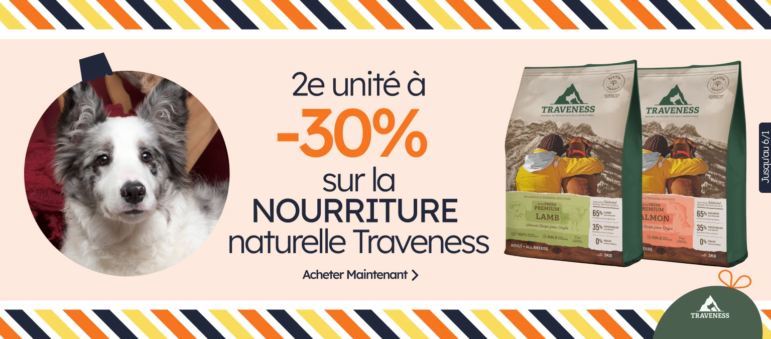 /c/diciembre-traveness-2-30