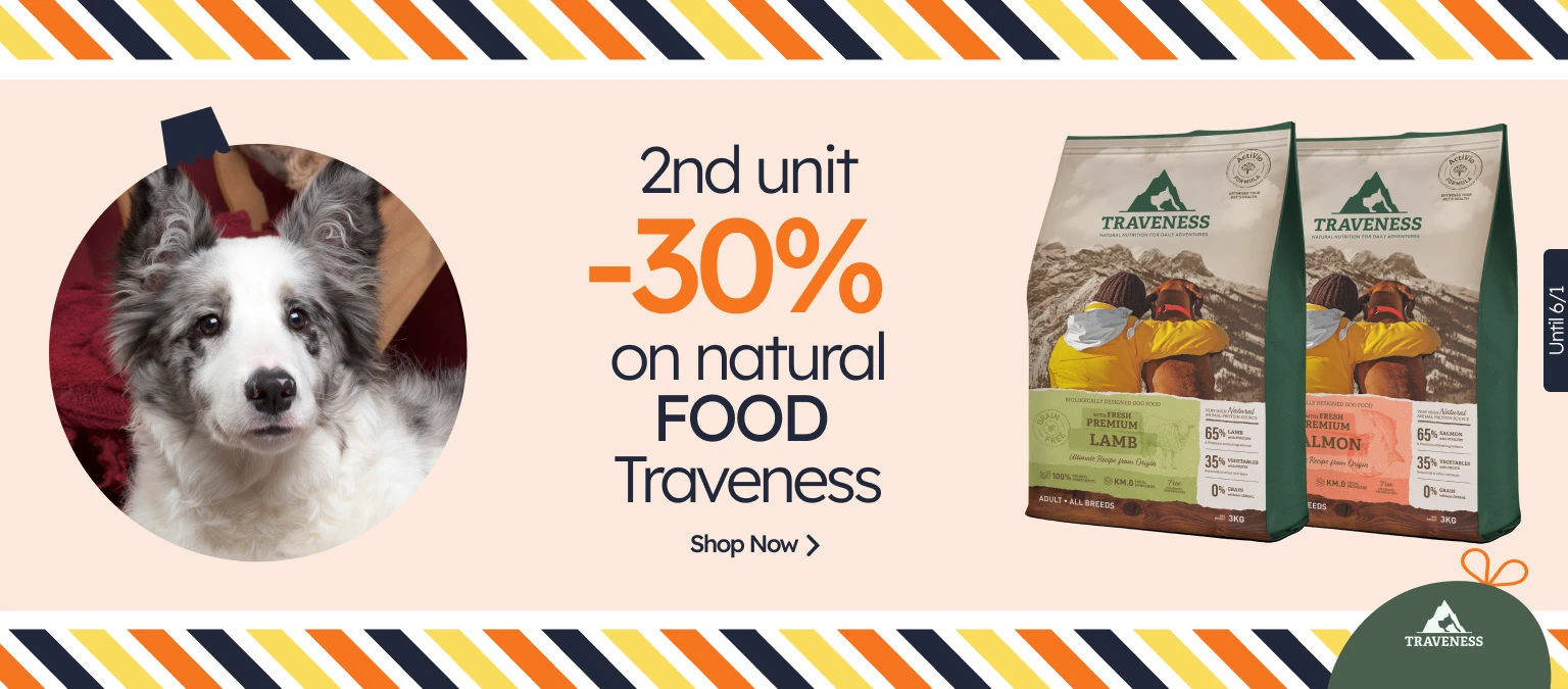 /c/diciembre-traveness-2-30