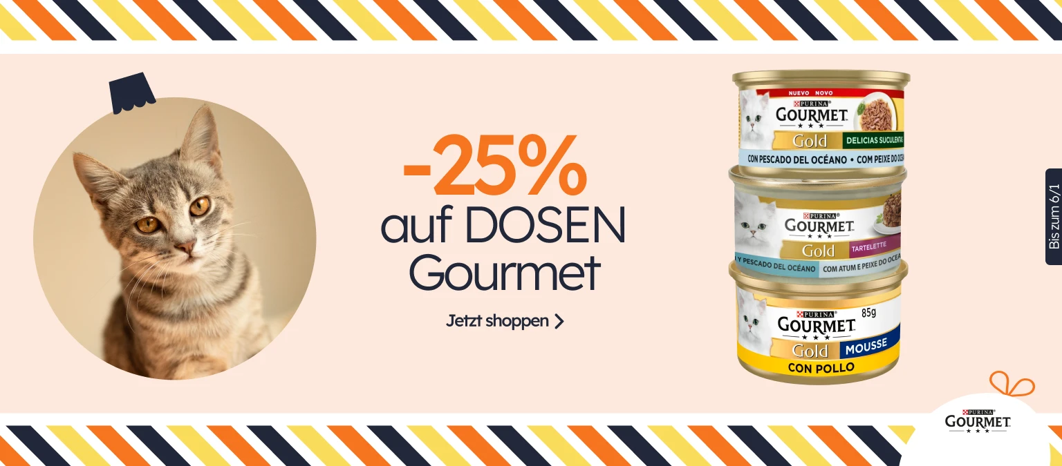 /c/diciembre-gourmet-25