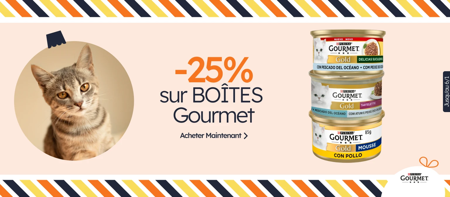 /c/diciembre-gourmet-25