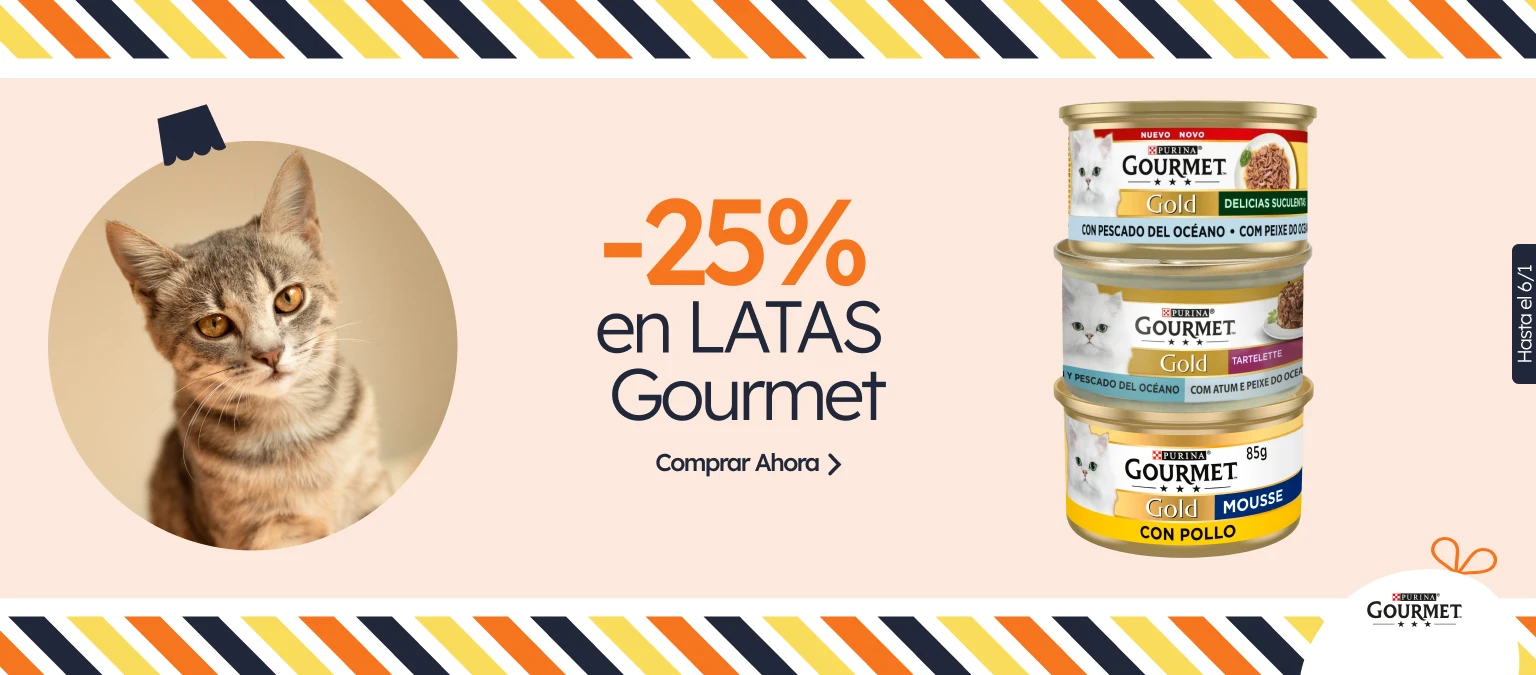 /c/diciembre-gourmet-25