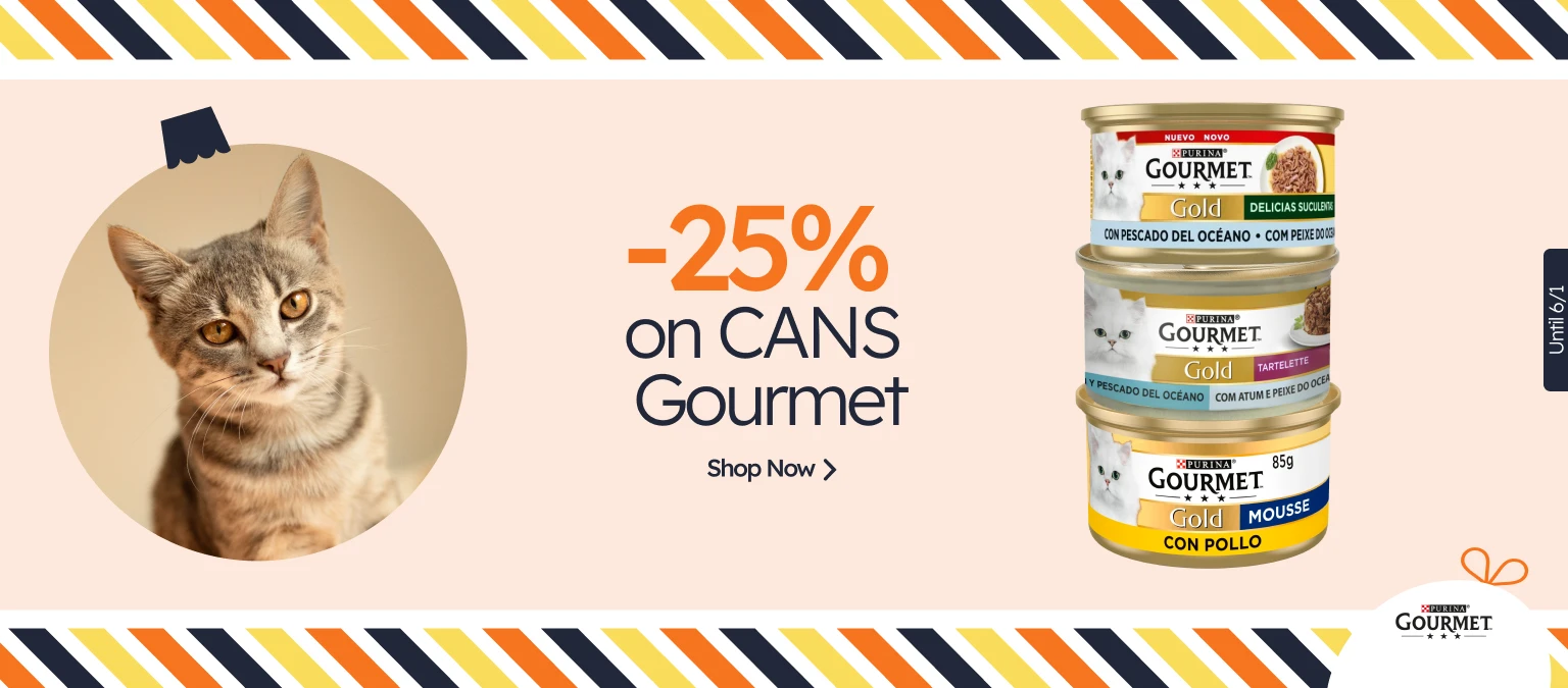 /c/diciembre-gourmet-25