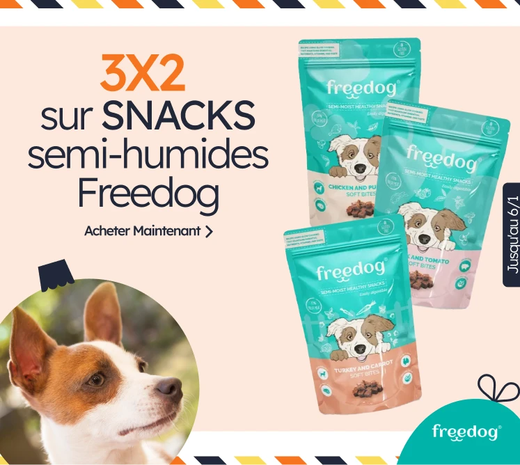 /c/diciembre-freedog-3-2