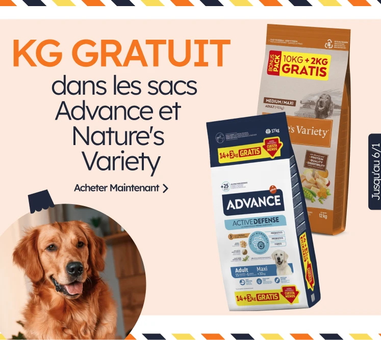 /c/diciembre-adv-nv-kgfree