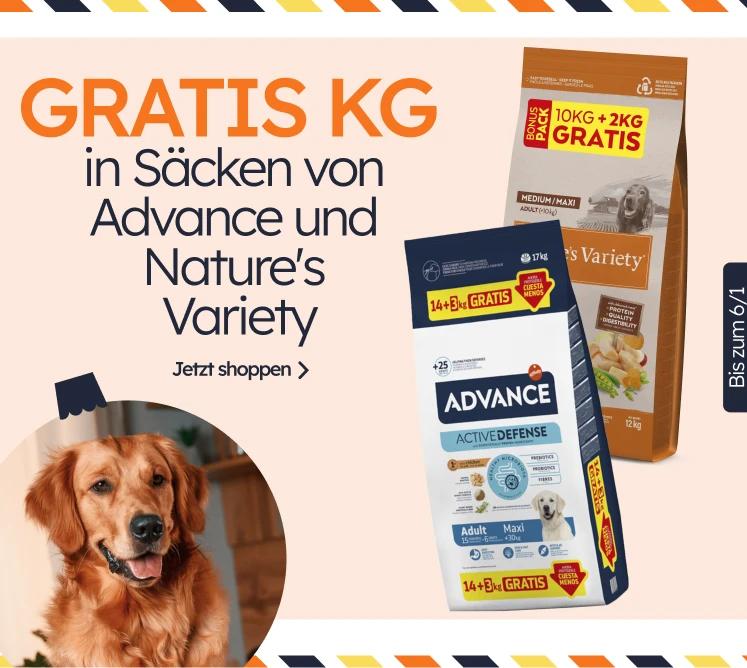 /c/diciembre-adv-nv-kgfree