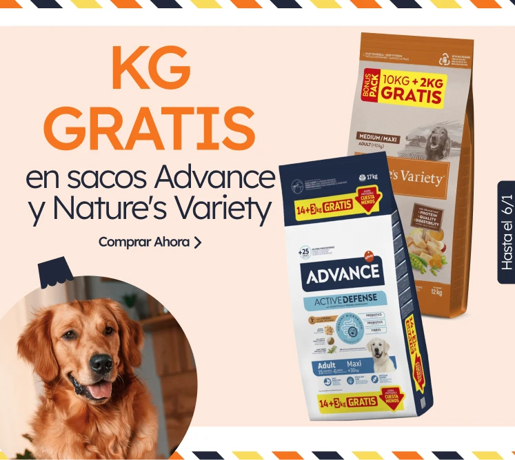 /c/diciembre-adv-nv-kgfree