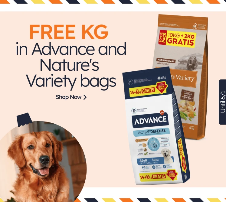 /c/diciembre-adv-nv-kgfree