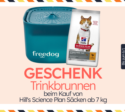 /c/diciembre-hills-gift-fuente