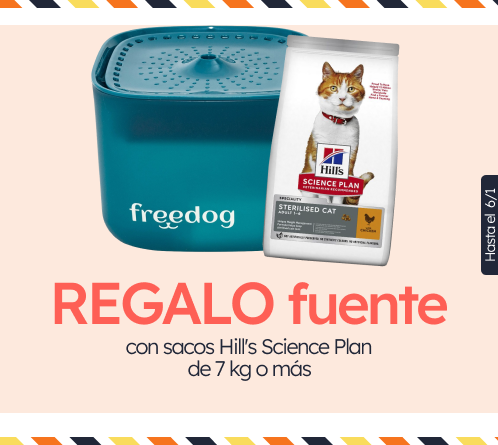 /c/diciembre-hills-gift-fuente