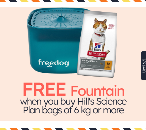 /c/diciembre-hills-gift-fuente