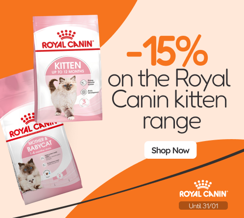 /c/enero-royal-canin-15
