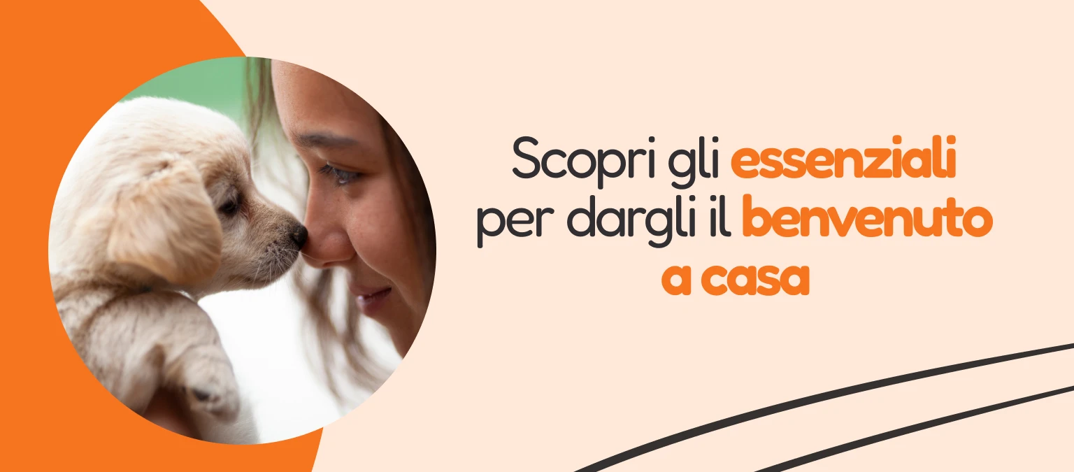 /c/enero-bienvenido-cachorro/116