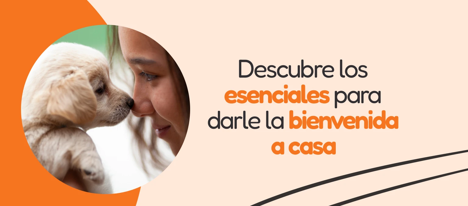 /c/enero-bienvenido-cachorro/116