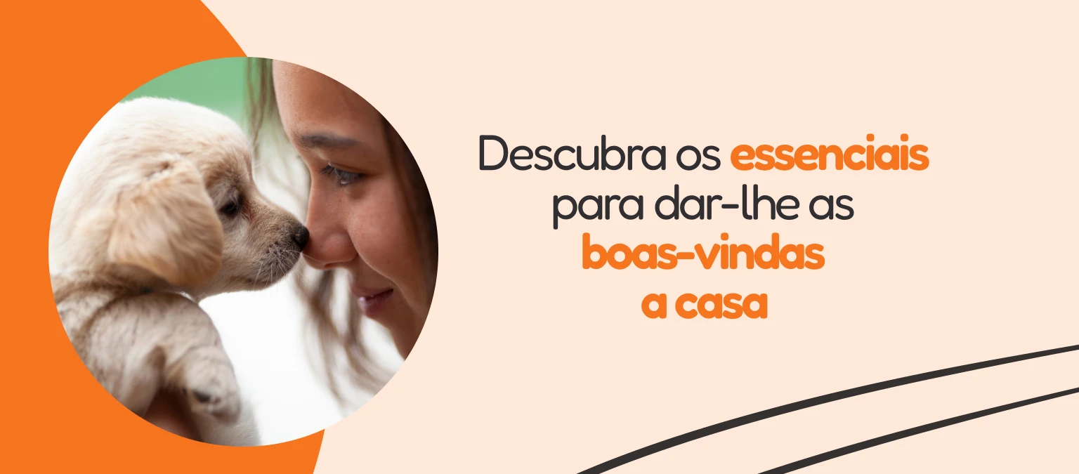 /c/enero-bienvenido-cachorro/116