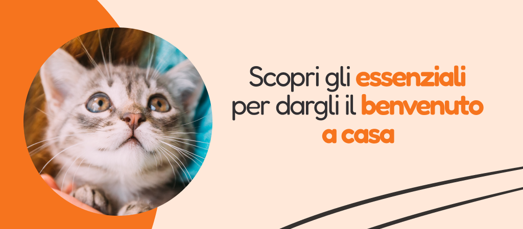 /c/enero-bienvenido-cachorro/116