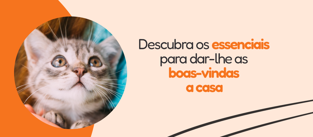 /c/enero-bienvenido-cachorro/116