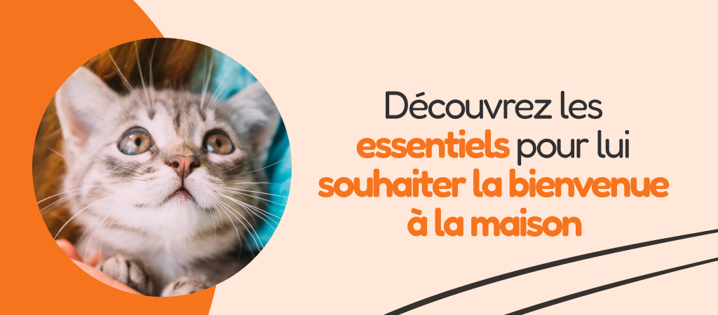 /c/enero-bienvenido-cachorro/116