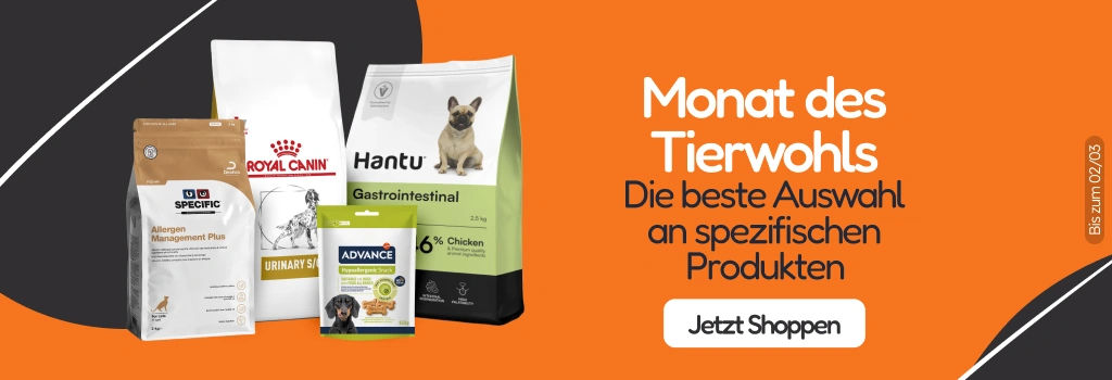 /c/febrero-mes-del-bienestar?utm_source=home&utm_medium=banner&utm_campaign=febrero-mes-del-bienesta