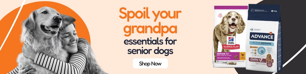 /c/febrero-senior-dog?utm_source=home&utm_medium=banner&utm_campaign=febrero-senior-dog&utm_content=