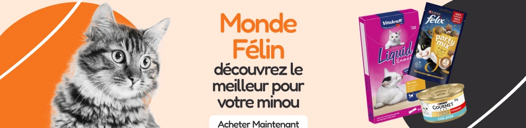 /c/febrero-mundo-gatuno?utm_source=home&utm_medium=banner&utm_campaign=febrero-mundo-gatuno&utm_cont