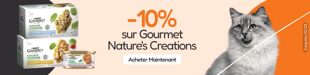 /c/febrero-gourmet-25