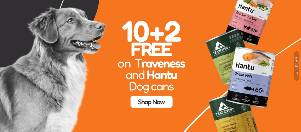 /c/febrero-hantu-traveness-dog-10-2?utm_source=home&utm_medium=banner&utm_campaign=febrero-hantu-tra