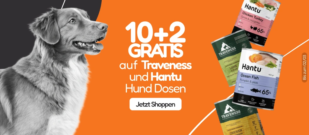 /c/febrero-hantu-traveness-dog-10-2?utm_source=home&utm_medium=banner&utm_campaign=febrero-hantu-tra