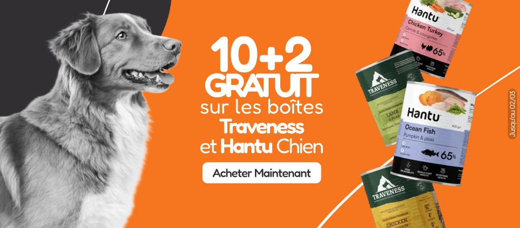 /c/febrero-hantu-traveness-dog-10-2?utm_source=home&utm_medium=banner&utm_campaign=febrero-hantu-tra