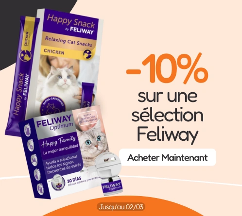 /c/febrero-feliway-10