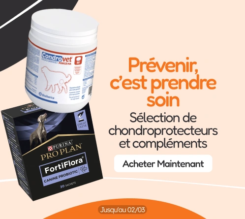 /c/febrero-prevenir-es-cuidar?utm_source=home&utm_medium=banner&utm_campaign=febrero-prevenir-es-cui