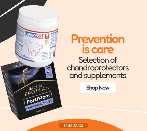 /c/febrero-prevenir-es-cuidar?utm_source=home&utm_medium=banner&utm_campaign=febrero-prevenir-es-cui