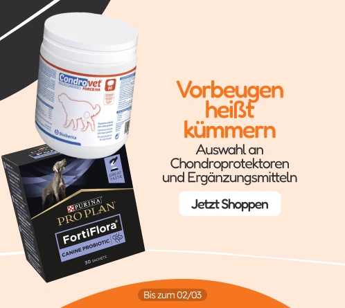 /c/febrero-prevenir-es-cuidar?utm_source=home&utm_medium=banner&utm_campaign=febrero-prevenir-es-cui