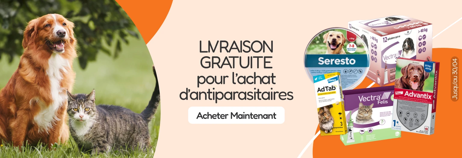 /caes/c_desparasitantes