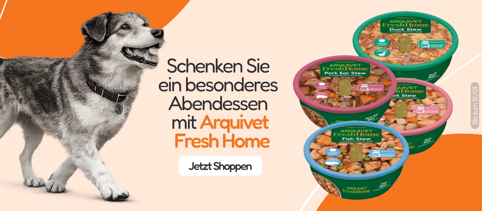 /c/arquivet-fresh-home?utm_source=home&utm_medium=banner&utm_campaign=arquivet-frash-home&utm_conten