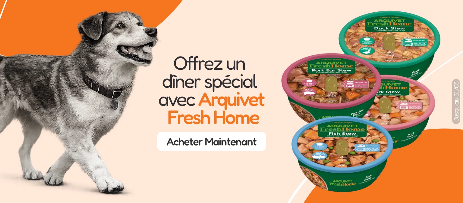 /c/arquivet-fresh-home?utm_source=home&utm_medium=banner&utm_campaign=arquivet-frash-home&utm_conten