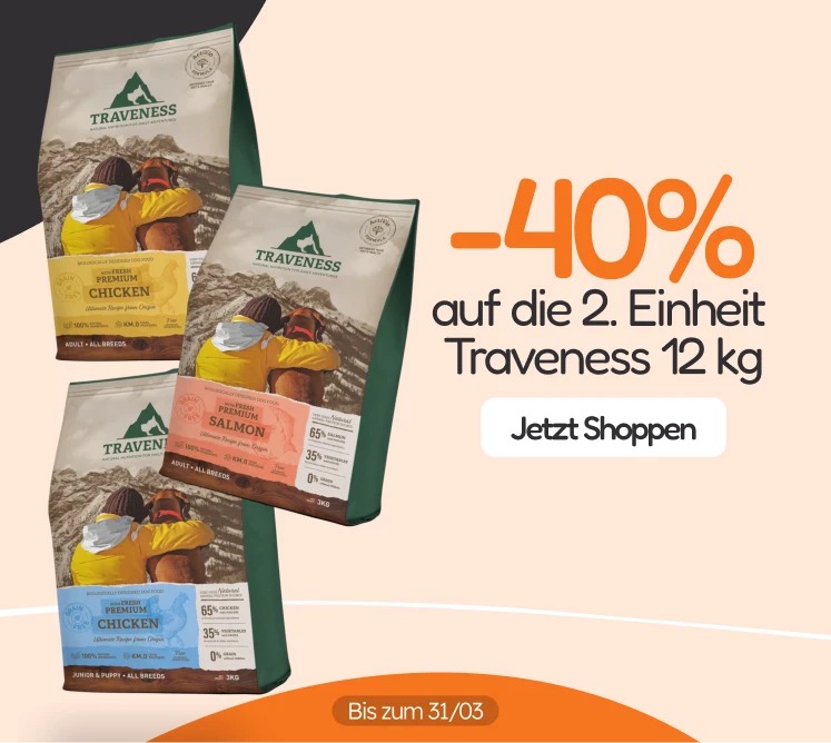 /c/traveness-2-40?utm_source=home&utm_medium=banner&utm_campaign=traveness-2-40&utm_content=medium-b