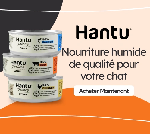 /gatos/s_racao-umida_hantu