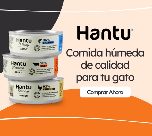 /gatos/s_comida-humeda_hantu