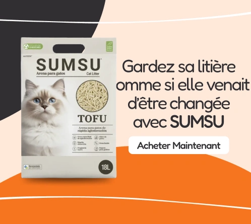 /gatos/sumsu/pr-523722