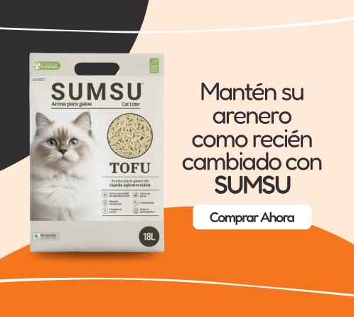 /gatos/sumsu/pr-523722